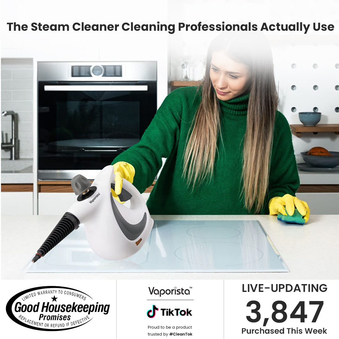 SteamBurst™️ Steam Cleaner