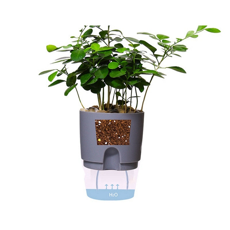 Self Watering Pot - Automatic Watering Planter (3PC Set)