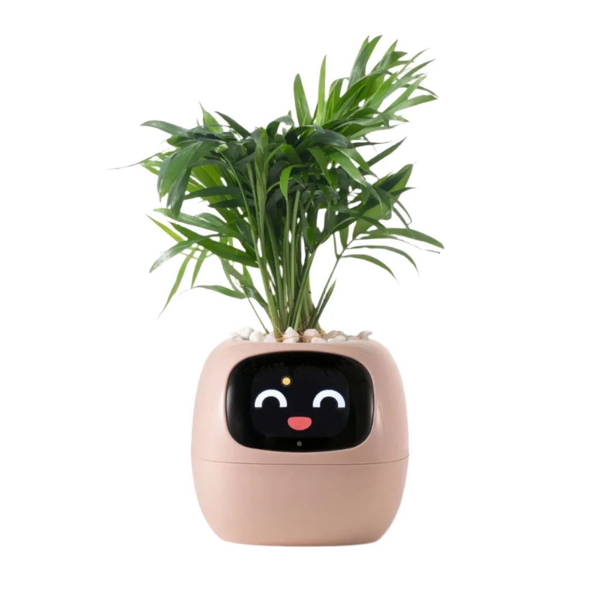 Smart Self-Watering Planter for Indoor Plants