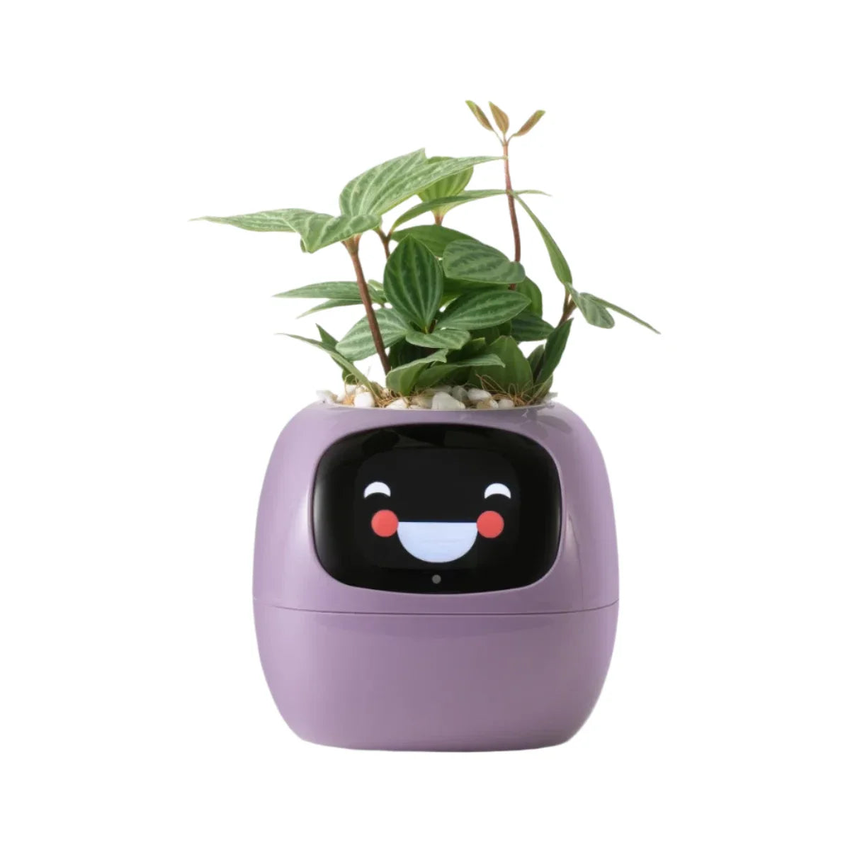 Smart Self-Watering Planter for Indoor Plants