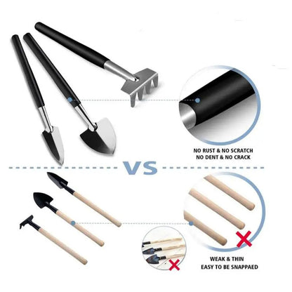 Succulent Planter Kit