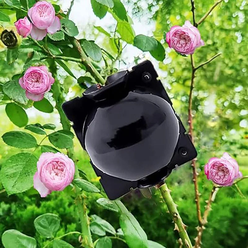 Plant Propagation Balls to Quickly Clone Plants