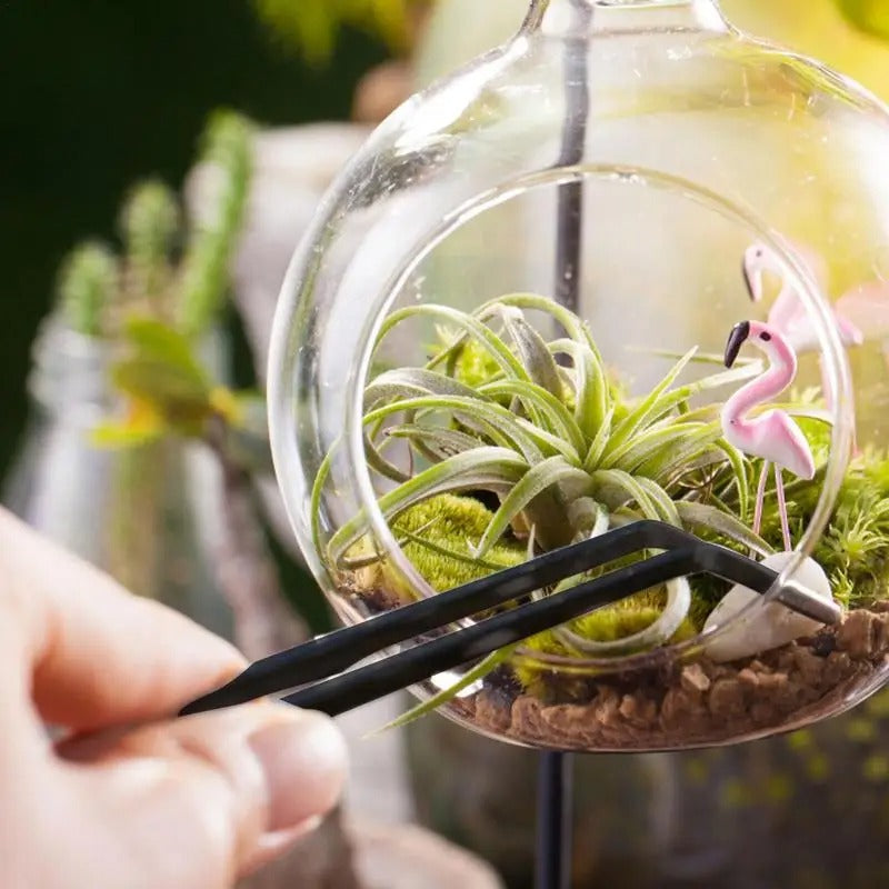 Succulent Planter Kit