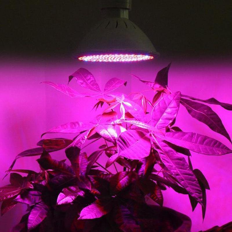 Full Spectrum LED Plant Grow Light