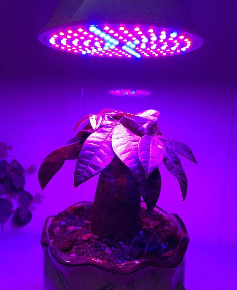 Full Spectrum LED Plant Grow Light