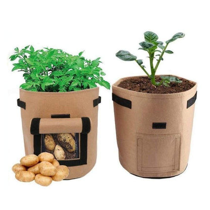 Vegetable Grow Bag